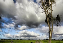 中国女排近期有哪些重要比赛赛程？球迷该如何关注？