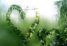 捷报完整比分是什么？它能为体育爱好者提供哪些帮助？