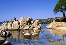 今日国足比赛表现如何？能给球迷带来惊喜吗？